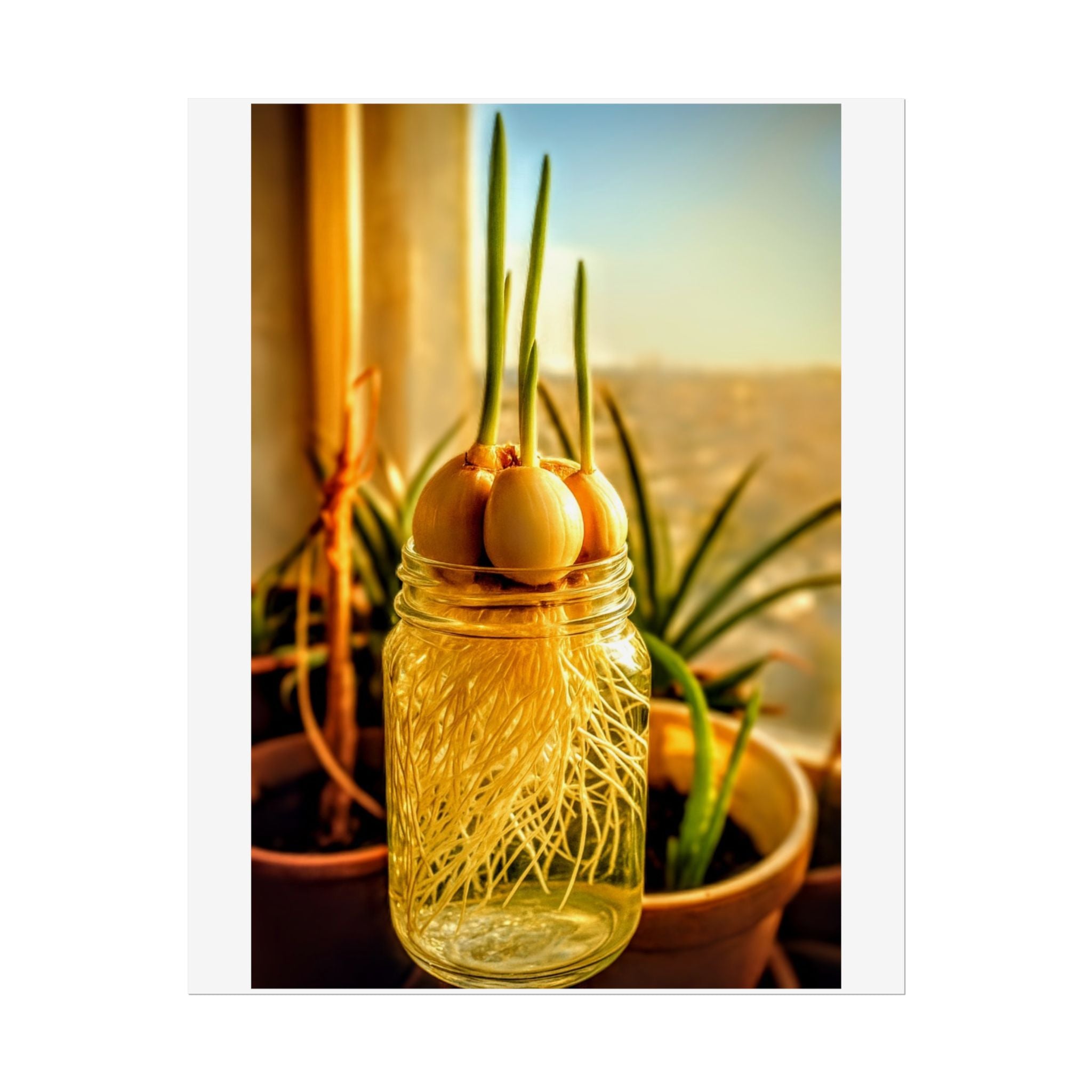 Eco-Friendly Rolled Poster - Garlic Sprout Early Roots | Healthy Lifestyle Symbolism