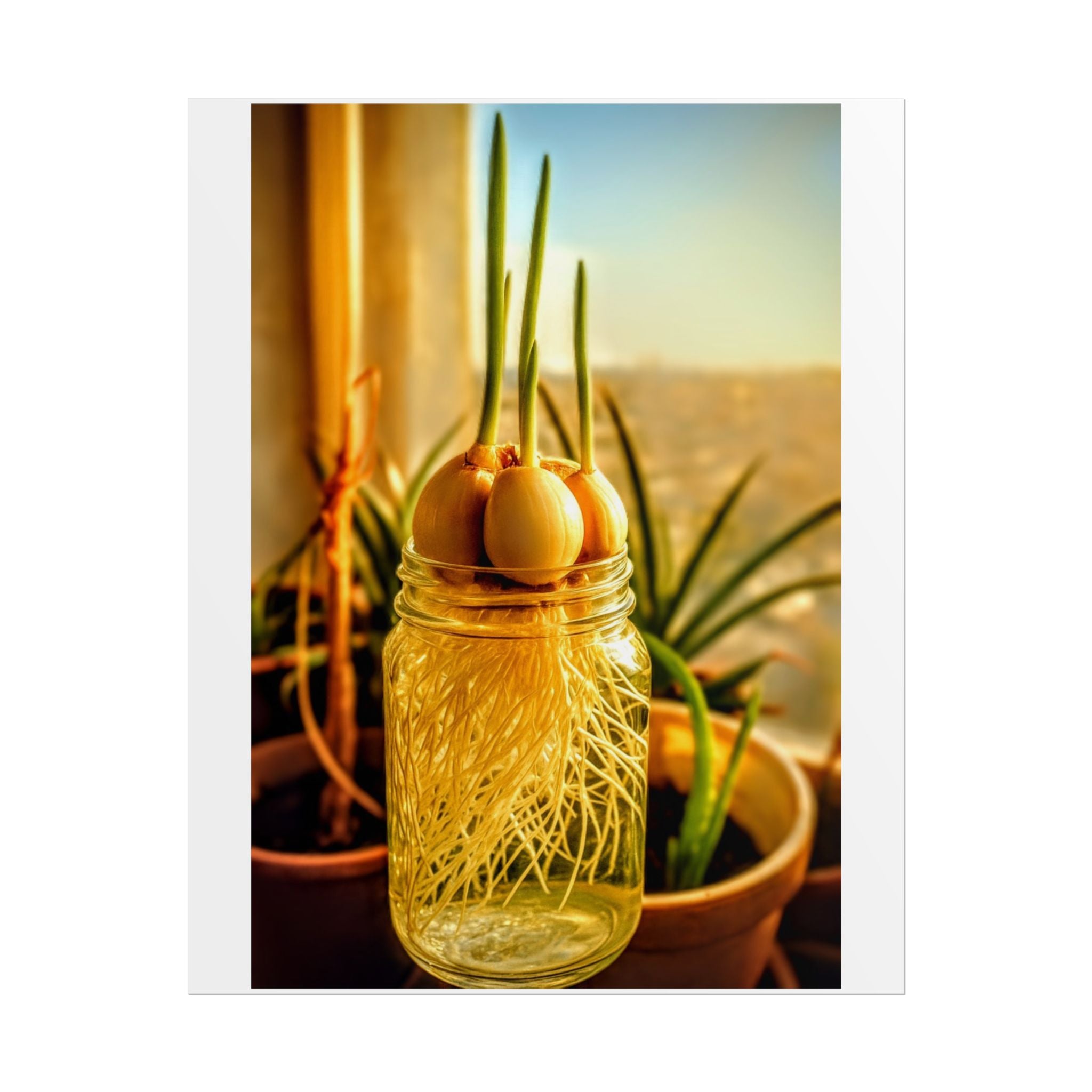 Eco-Friendly Rolled Poster - Garlic Sprout Early Roots | Healthy Lifestyle Symbolism