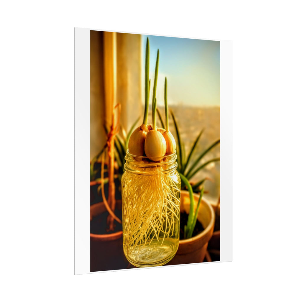 Eco-Friendly Rolled Poster - Garlic Sprout Early Roots | Healthy Lifestyle Symbolism